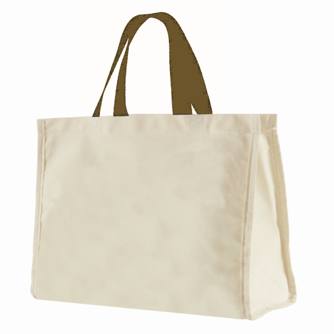 12LFC SACOLA DE LONA 240G 40X32X20CM NATURAL ALÇA CAQUI KIT 10 peças Mercado Livre