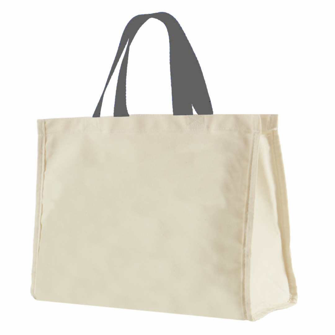 12LFC SACOLA DE LONA 240G 40X32X20CM NATURAL ALCA CINZA ESCURO Kit 10 peças Mercado livre