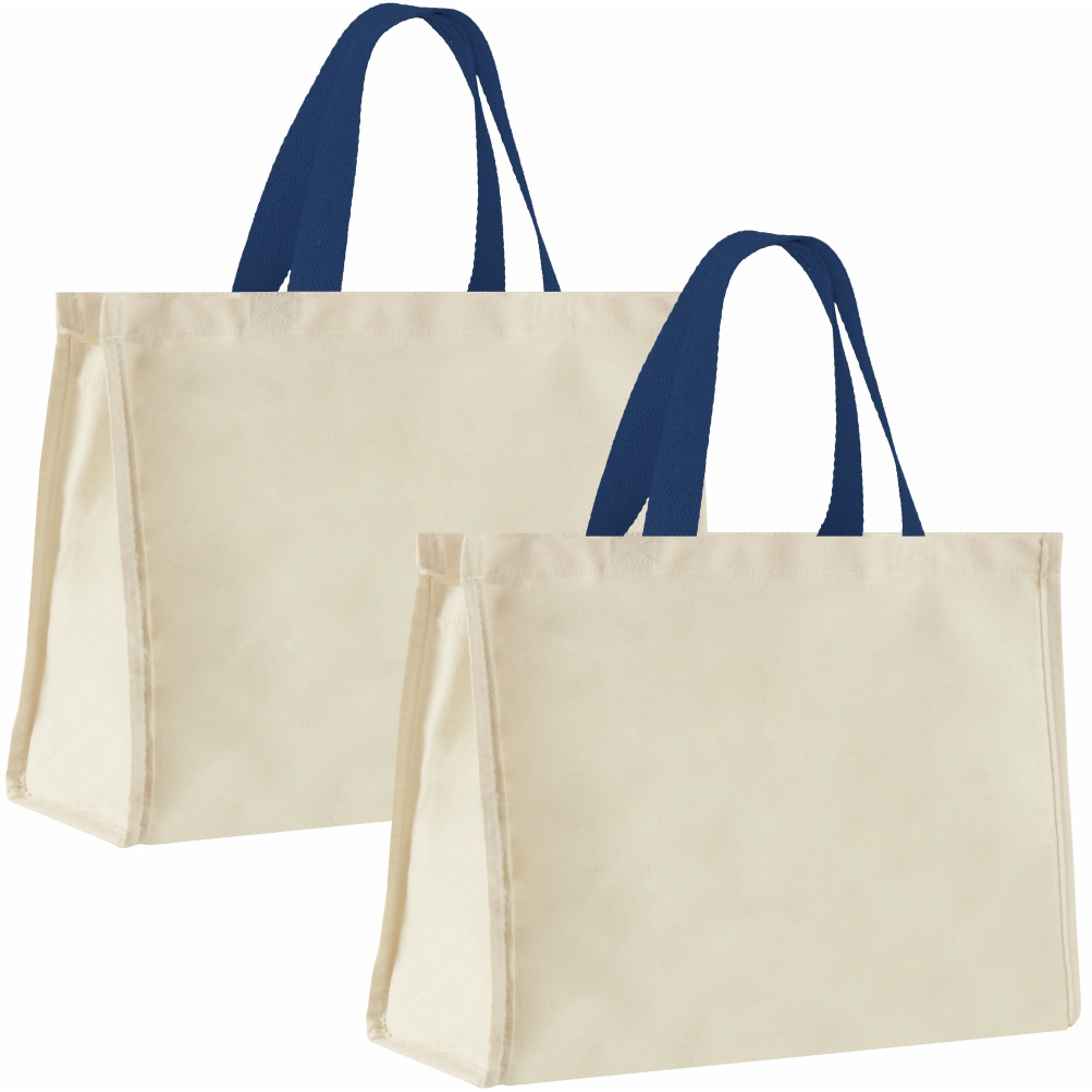 12LFC SACOLA DE LONA 240G 40X32X20CM NATURAL ALÇA AZUL MARINHO KIT 2 Peças Mercado Livre