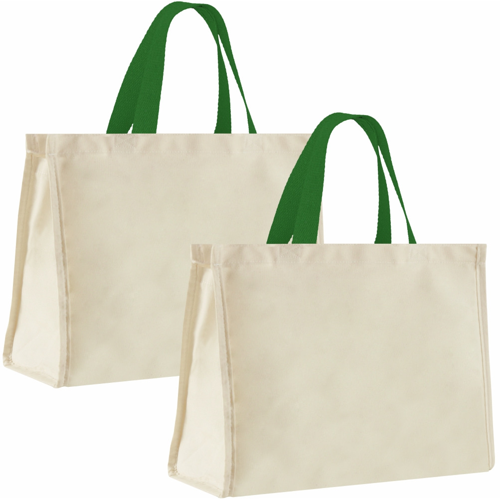 12LFC SACOLA DE LONA 240G 40X32X20CM NATURAL ALÇA VERDE BANDEIRA KIT 2 peças Mercado Livre