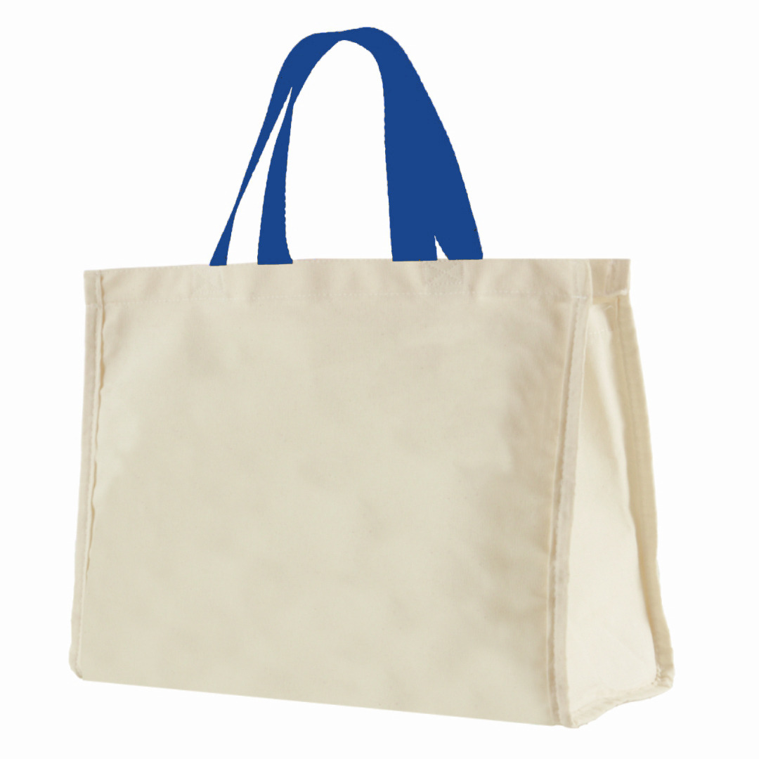 12LFC SACOLA DE LONA 240G 40X32X20CM NATURAL ALÇA AZUL ROYAL KIT 10 PEÇAS Mercado Livre