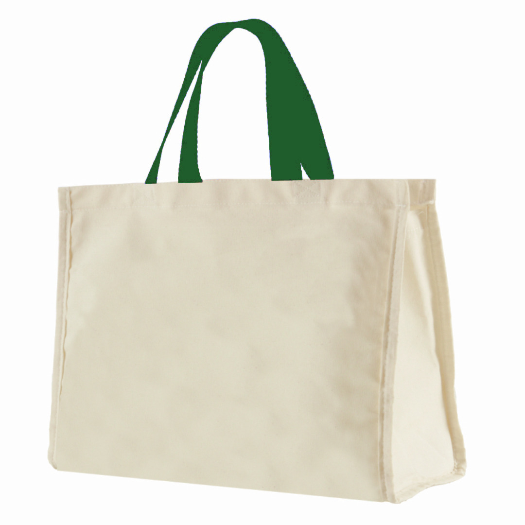 12LFC SACOLA DE LONA 240G 40X32X20CM NATURAL ALÇA VERDE BANDEIRA KIT 10 peças Mercado livre