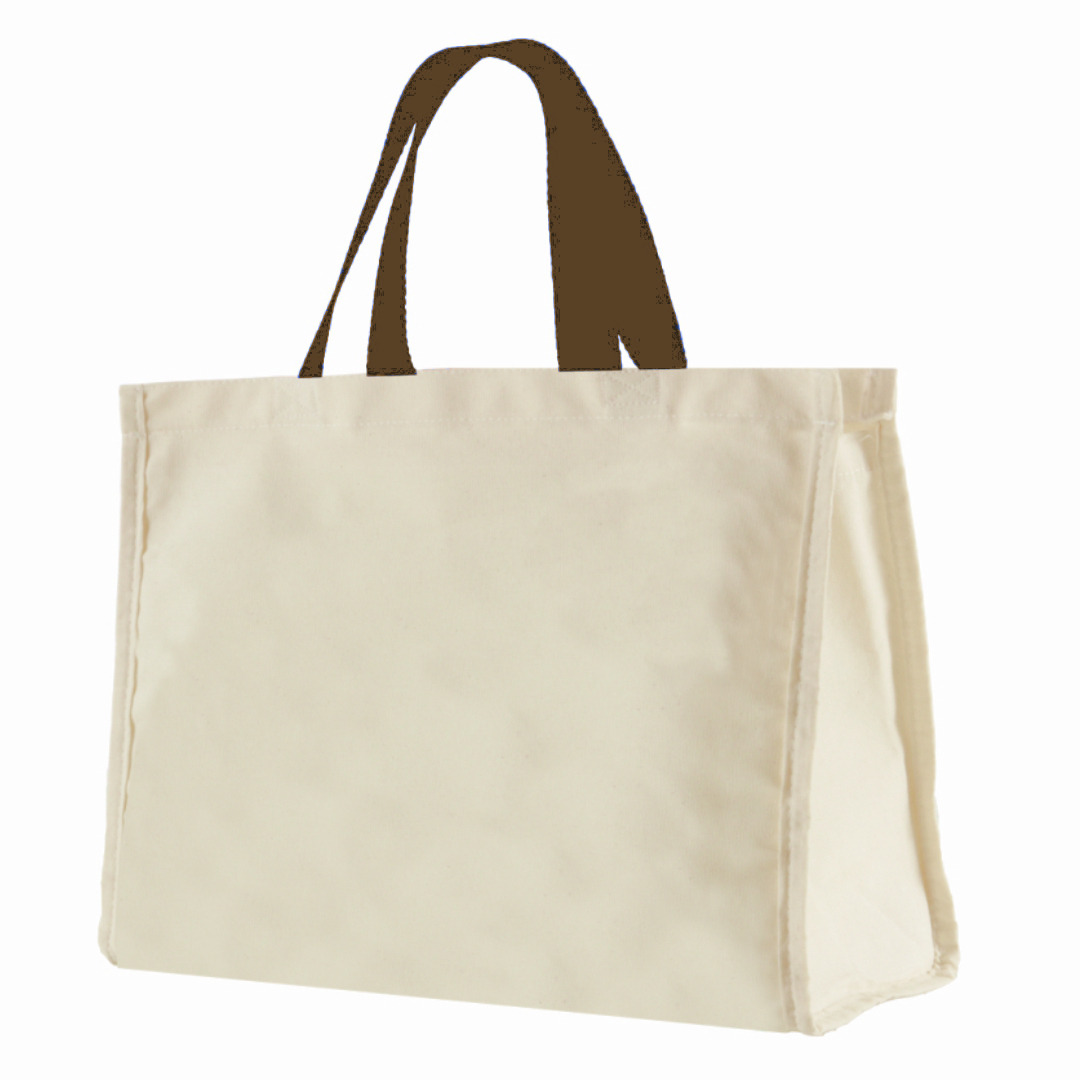 12LFC SACOLA DE LONA 240G 40X32X20CM NATURAL ALÇA MARROM KIT 10 Peças Mercado Livre