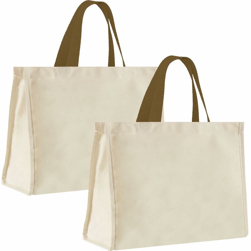 12LFC SACOLA DE LONA 240G 40X32X20CM NATURAL ALÇA CAQUI KIT 2 peças Mercado Livre