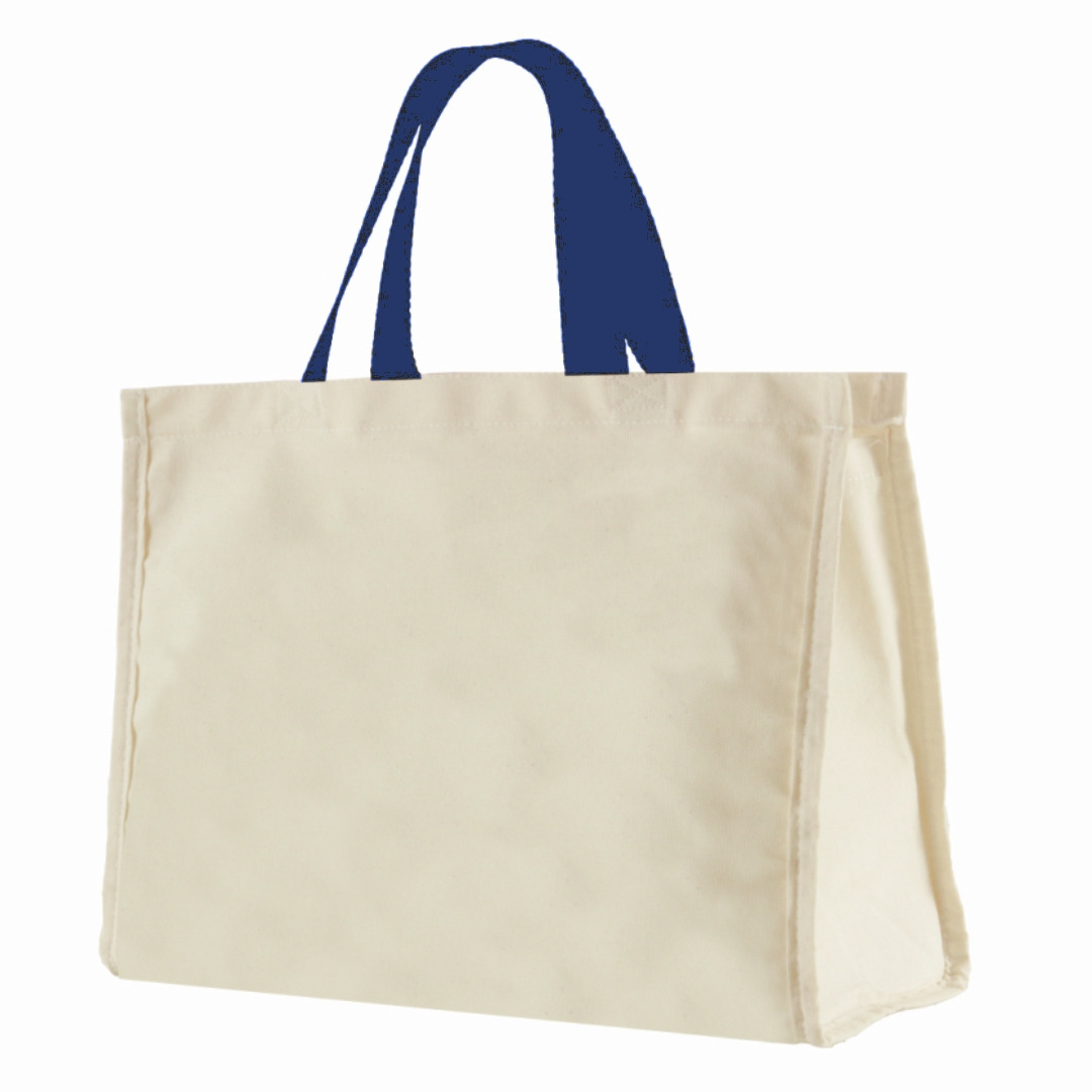 12LFC SACOLA DE LONA 240G 40X32X20CM NATURAL ALÇA AZUL MARINHO KIT 10 Peças Mercado Livre