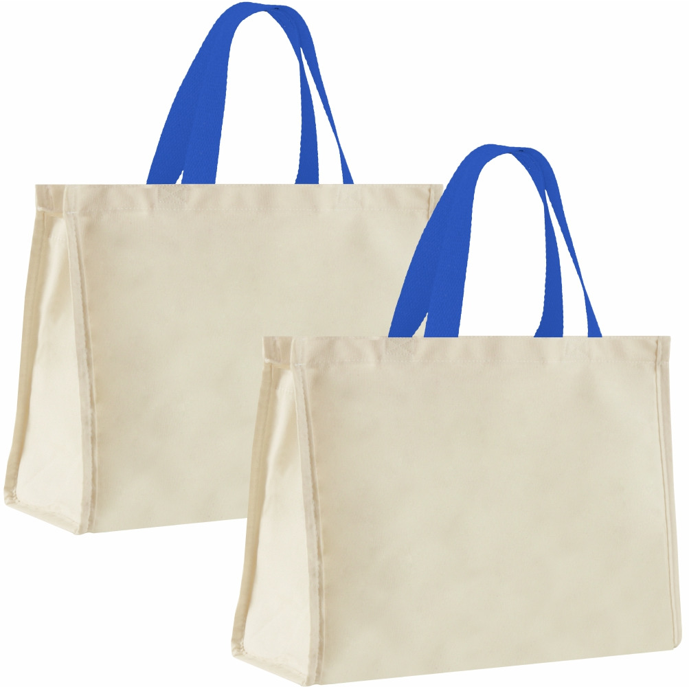 12LFC SACOLA DE LONA 240G 40X32X20CM NATURAL ALÇA AZUL ROYAL KIT 2 PEÇAS Mercado Livre