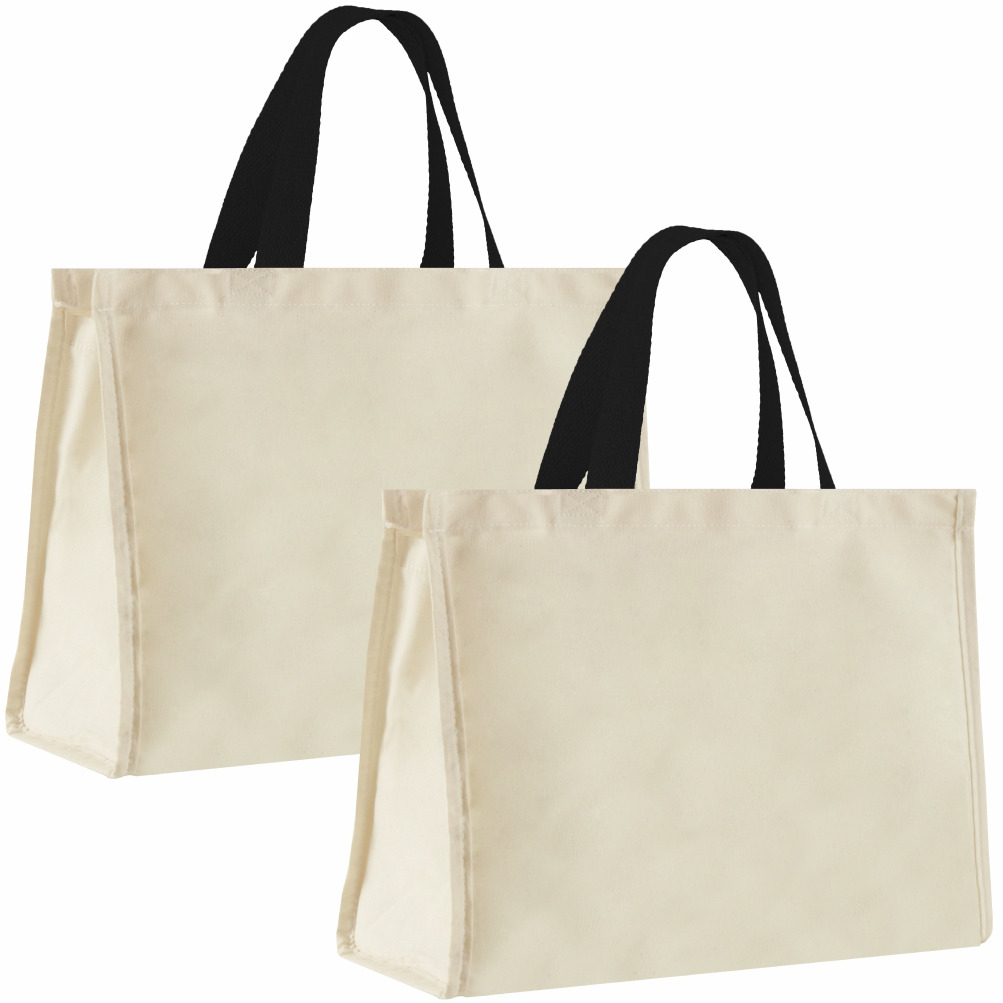12LFC SACOLA DE LONA 240G 40X32X20CM NATURAL ALÇA PRETA KIT 2 PEÇAS Mercado Livre