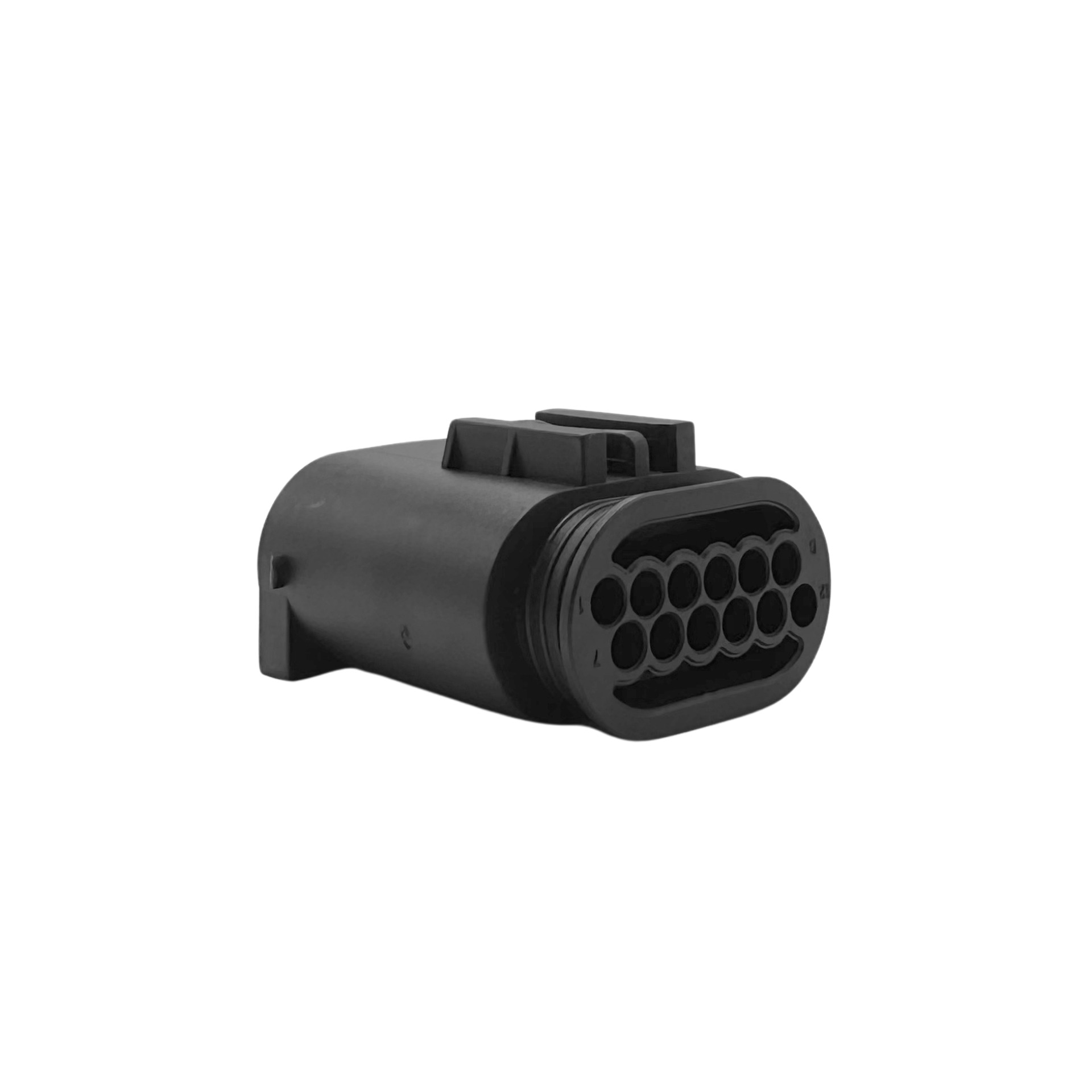 conector 12 pinos